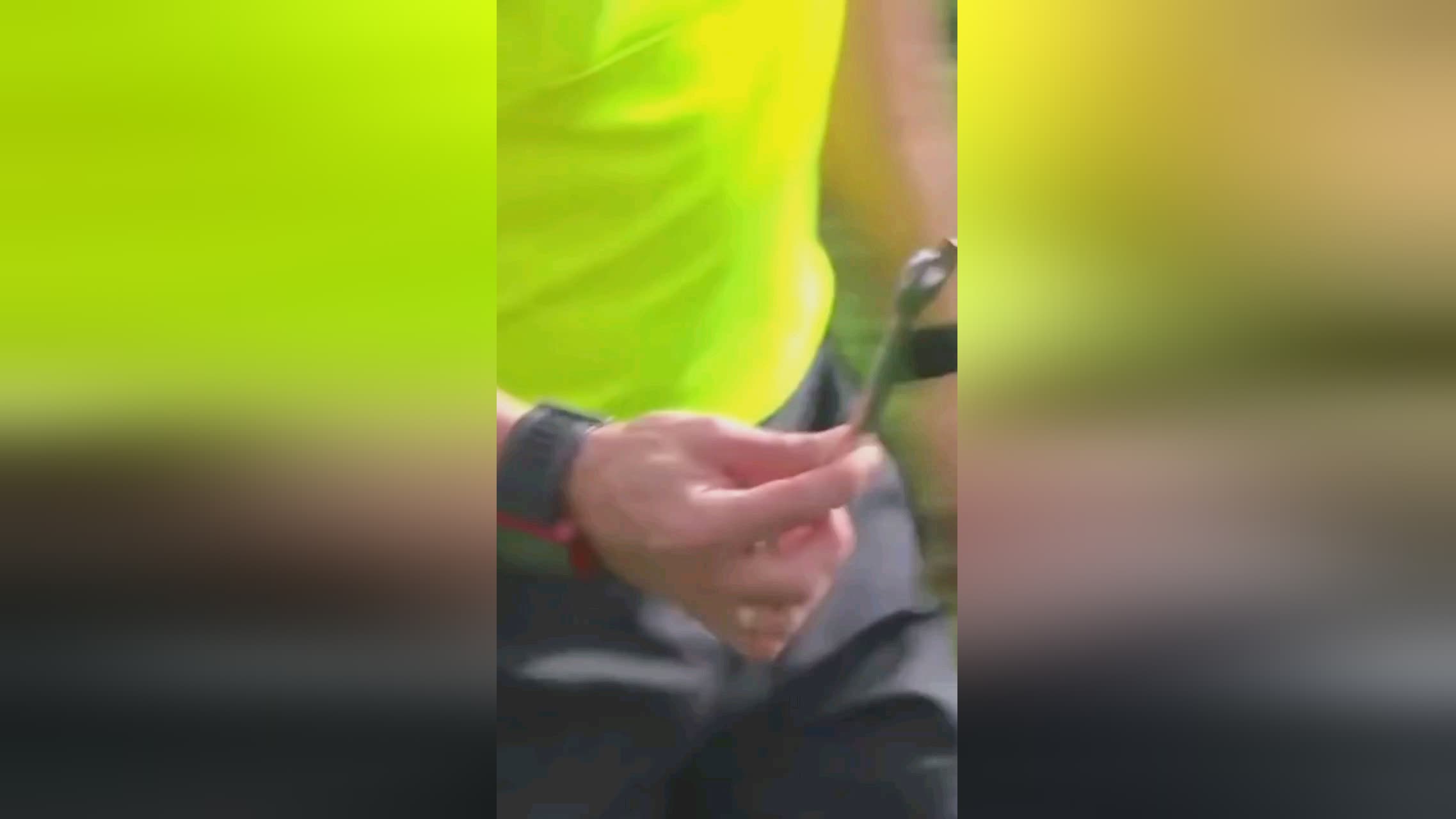的反