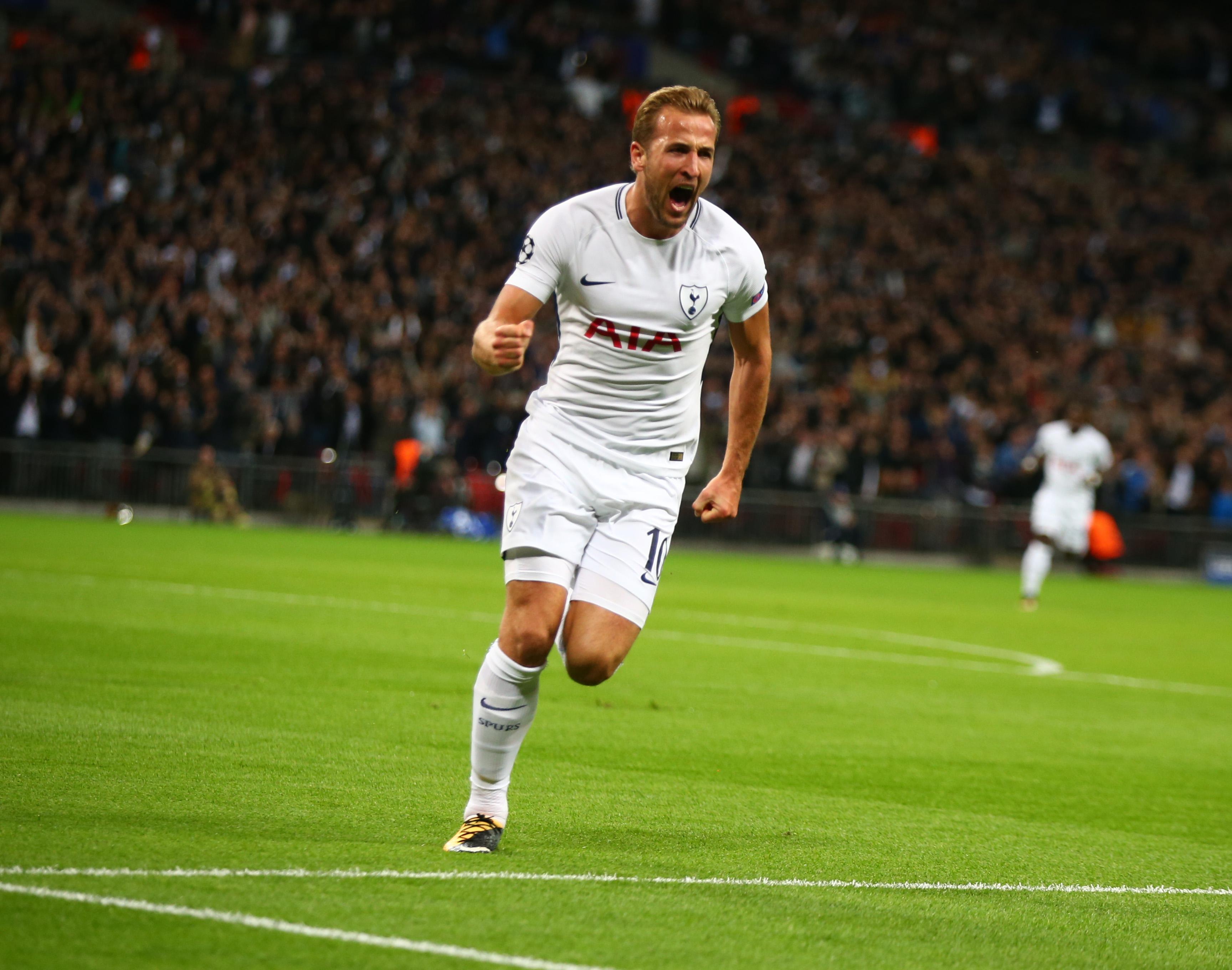 队的年轻球 队的年轻球